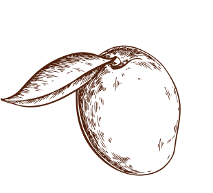 mango drink 1 | Owsianek DRINK