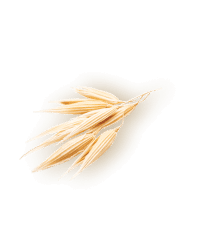 oat image 1 | Kontakt