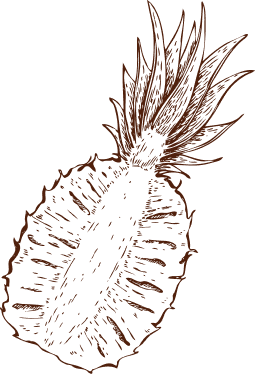 pineaple drink | Owsianek DRINK